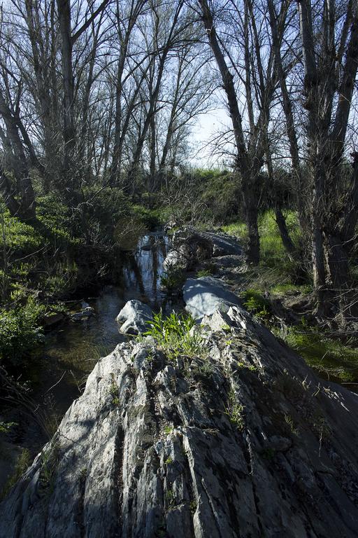 Casa Rural Ecologica Huerta Del Pirata Fuente de Cantos Buitenkant foto