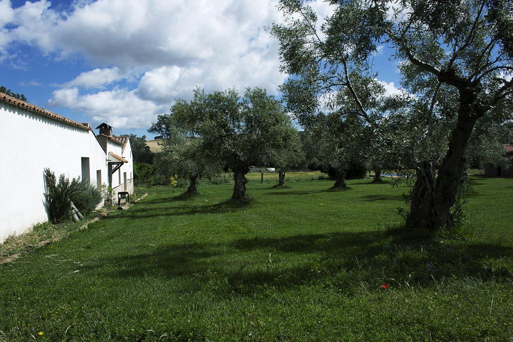 Casa Rural Ecologica Huerta Del Pirata Fuente de Cantos Buitenkant foto