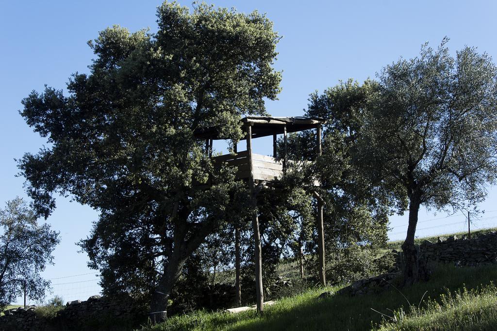 Casa Rural Ecologica Huerta Del Pirata Fuente de Cantos Buitenkant foto