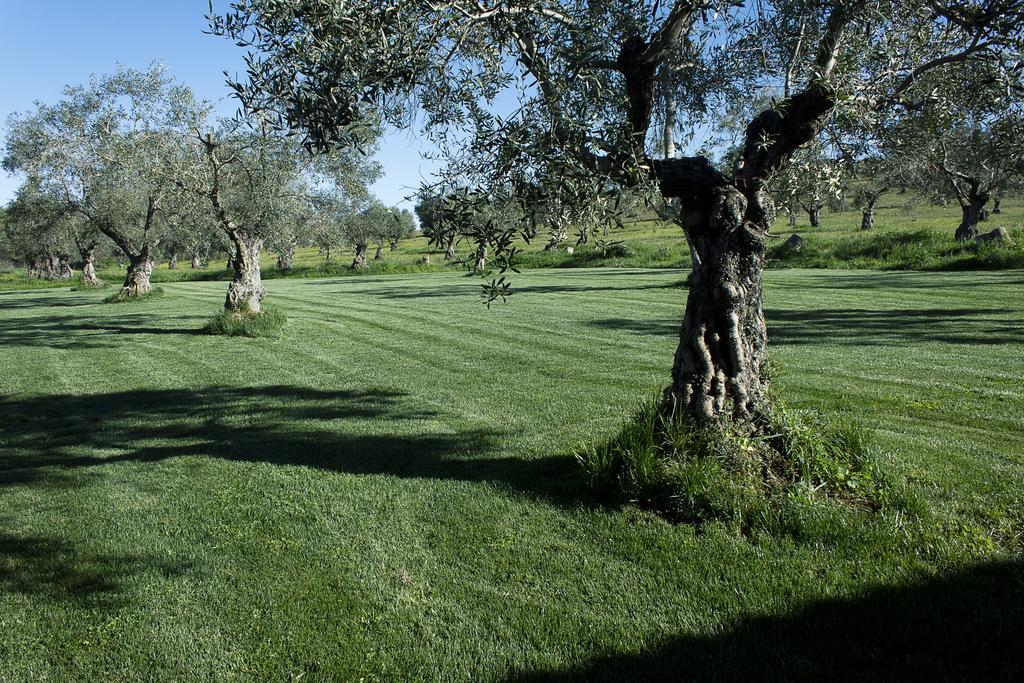 Casa Rural Ecologica Huerta Del Pirata Fuente de Cantos Buitenkant foto
